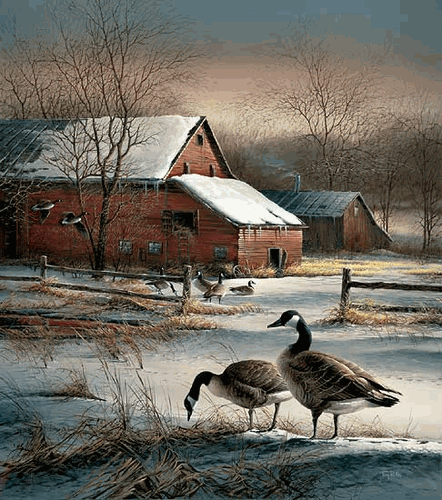 (image for) Winter Haven Encore II